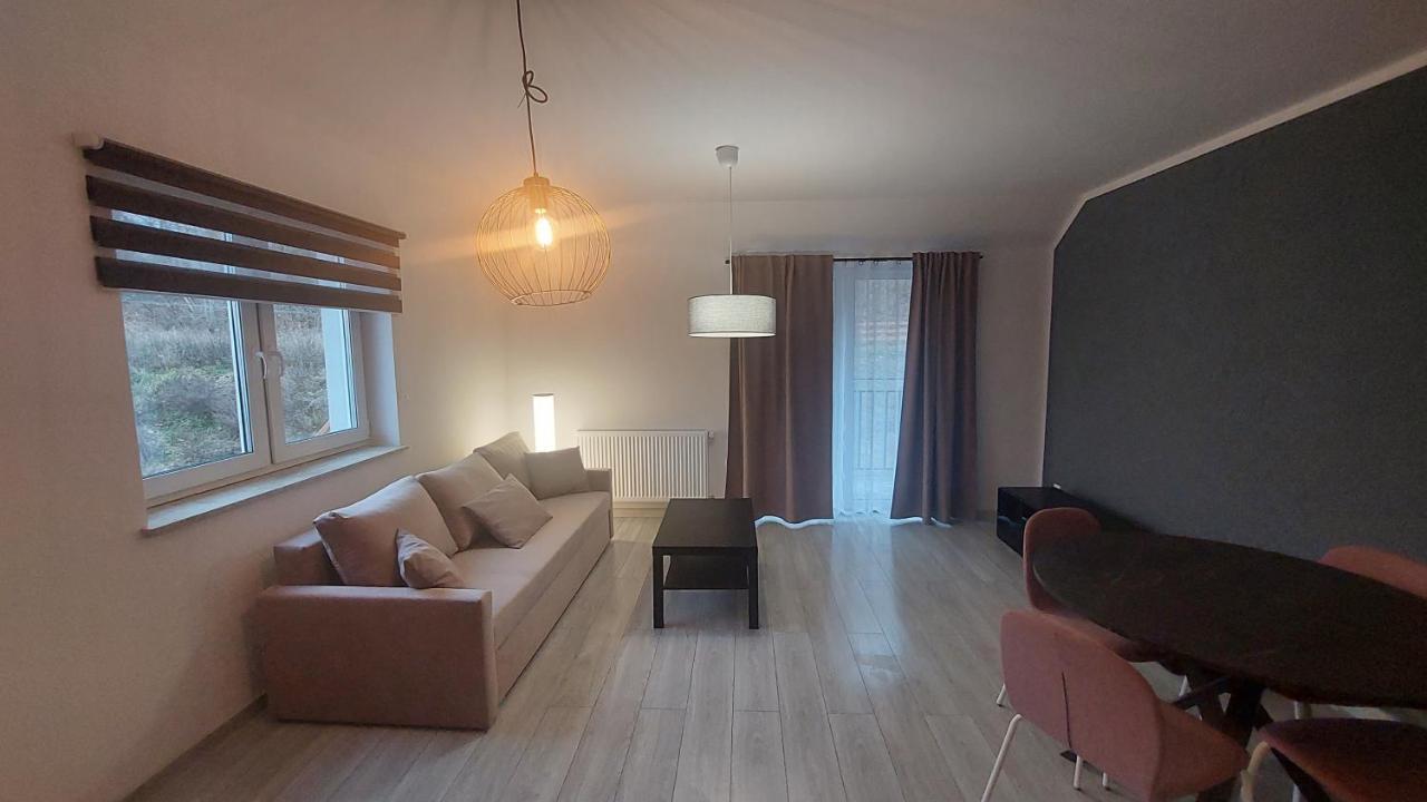 Appartement Sunny Hill , Kowary Extérieur photo