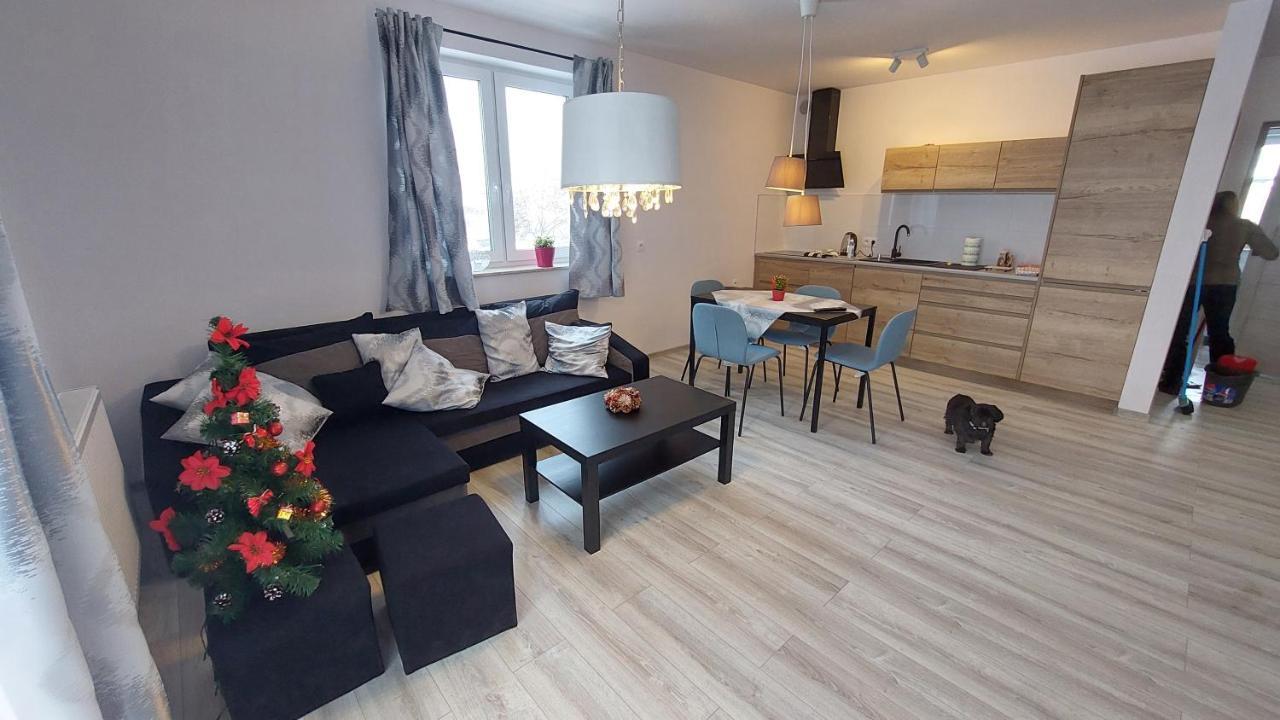 Appartement Sunny Hill , Kowary Extérieur photo